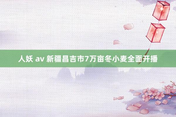 人妖 av 新疆昌吉市7万亩冬小麦全面开播