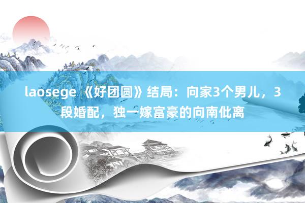 laosege 《好团圆》结局：向家3个男儿，3段婚配，独一嫁富豪的向南仳离