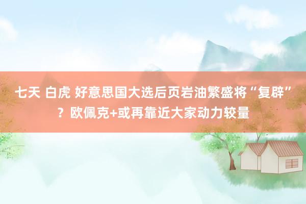 七天 白虎 好意思国大选后页岩油繁盛将“复辟”？欧佩克+或再靠近大家动力较量