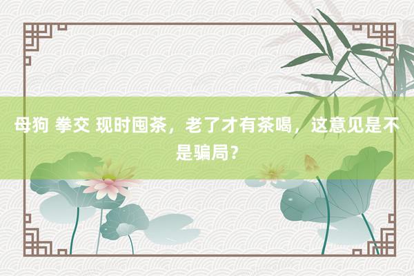 母狗 拳交 现时囤茶，老了才有茶喝，这意见是不是骗局？