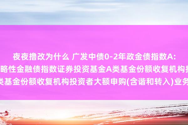 夜夜撸改为什么 广发中债0-2年政金债指数A: 对于广发中债0-2年策略性金融债指数证券投资基金A类基金份额收复机构投资者大额申购(含谐和转入)业务的公告