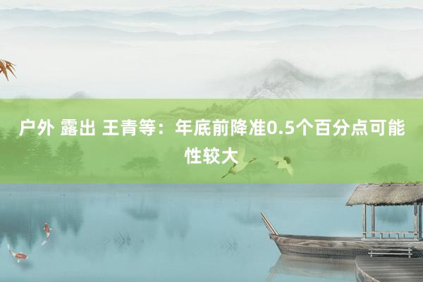 户外 露出 王青等：年底前降准0.5个百分点可能性较大