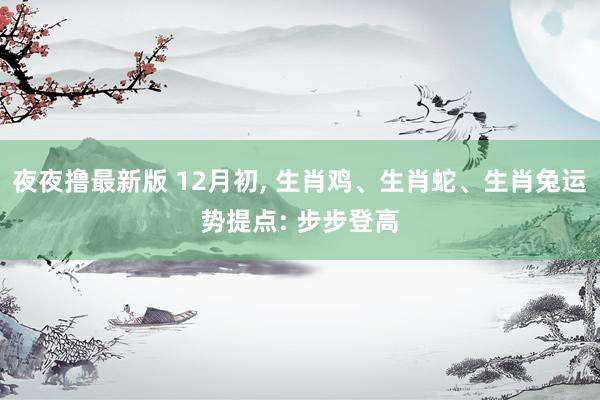 夜夜撸最新版 12月初， 生肖鸡、生肖蛇、生肖兔运势提点: 步步登高