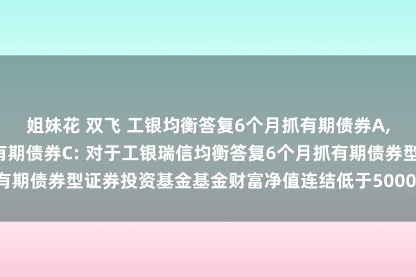 姐妹花 双飞 工银均衡答复6个月抓有期债券A,工银均衡答复6个月抓有期债券C: 对于工银瑞信均衡答复6个月抓有期债券型证券投资基金基金财富净值连结低于5000万元的辅导性公告