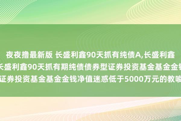 夜夜撸最新版 长盛利鑫90天抓有纯债A,长盛利鑫90天抓有纯债C: 对于长盛利鑫90天抓有期纯债债券型证券投资基金基金金钱净值迷惑低于5000万元的教唆性公告