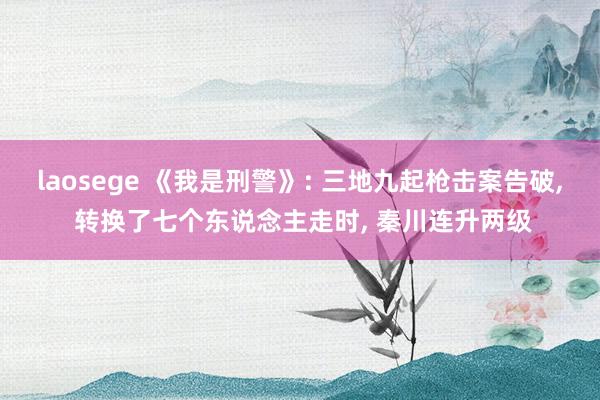laosege 《我是刑警》: 三地九起枪击案告破， 转换了七个东说念主走时， 秦川连升两级