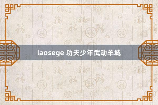 laosege 功夫少年武动羊城
