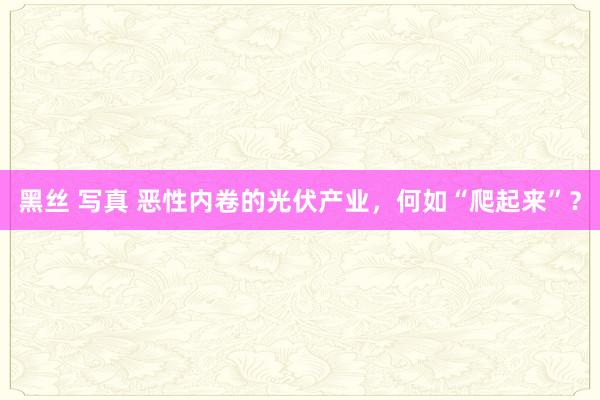 黑丝 写真 恶性内卷的光伏产业，何如“爬起来”？
