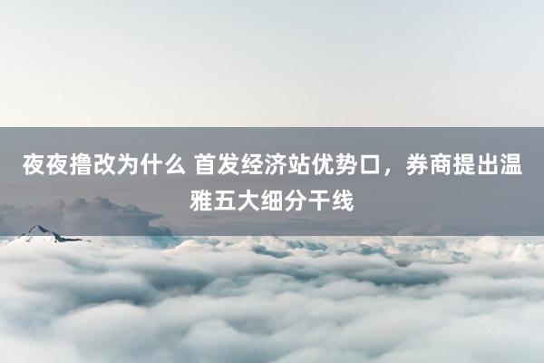 夜夜撸改为什么 首发经济站优势口，券商提出温雅五大细分干线