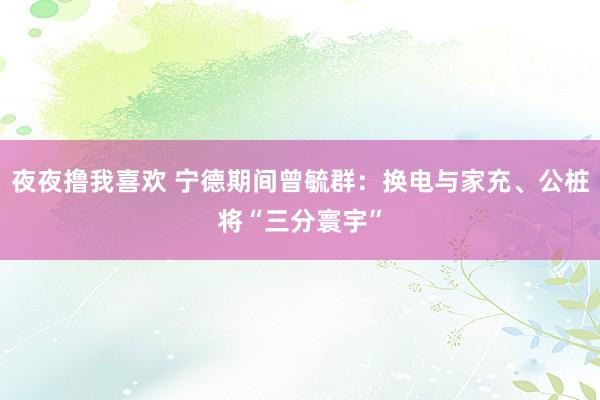 夜夜撸我喜欢 宁德期间曾毓群：换电与家充、公桩将“三分寰宇”