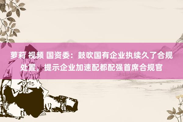 萝莉 视频 国资委：鼓吹国有企业执续久了合规处置，提示企业加速配都配强首席合规官