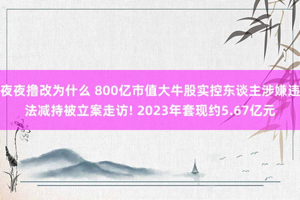 夜夜撸改为什么 800亿市值大牛股实控东谈主涉嫌违法减持被立案走访! 2023年套现约5.67亿元