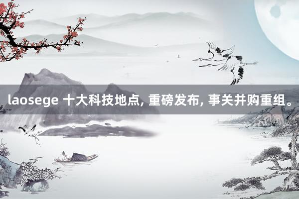 laosege 十大科技地点， 重磅发布， 事关并购重组。