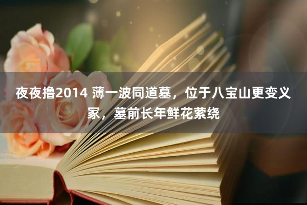 夜夜撸2014 薄一波同道墓，位于八宝山更变义冢，墓前长年鲜花萦绕