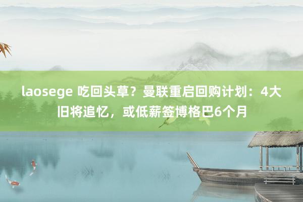 laosege 吃回头草？曼联重启回购计划：4大旧将追忆，或低薪签博格巴6个月
