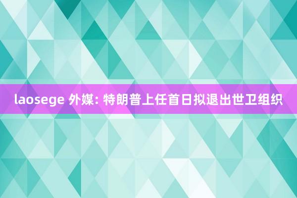 laosege 外媒: 特朗普上任首日拟退出世卫组织