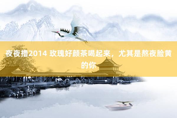 夜夜撸2014 玫瑰好颜茶喝起来,尤其是熬夜脸黄的你