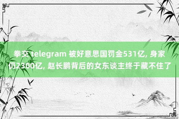 拳交 telegram 被好意思国罚金531亿， 身家仍2300亿， 赵长鹏背后的女东谈主终于藏不住了