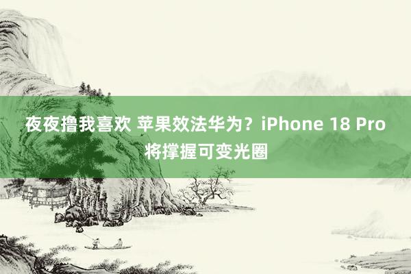 夜夜撸我喜欢 苹果效法华为？iPhone 18 Pro将撑握可变光圈