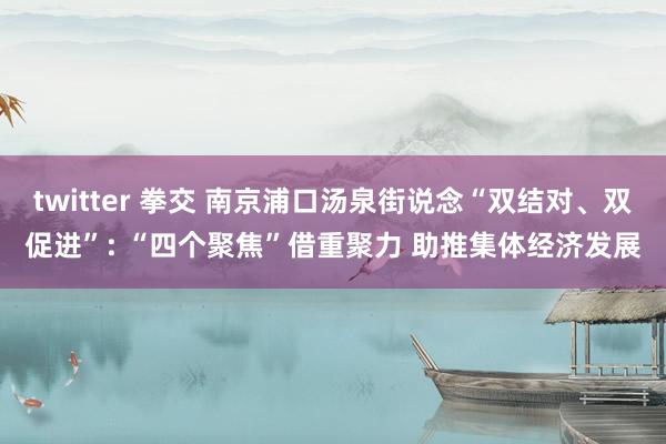 twitter 拳交 南京浦口汤泉街说念“双结对、双促进”: “四个聚焦”借重聚力 助推集体经济发展