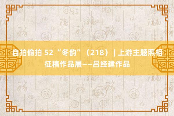 自拍偷拍 52 “冬韵”（218） | 上游主题照相征稿作品展——吕经建作品