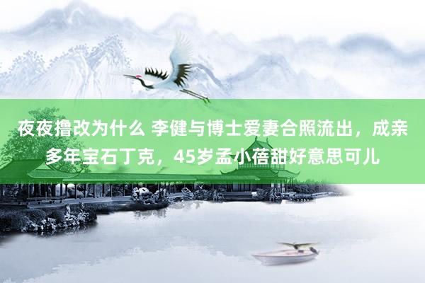夜夜撸改为什么 李健与博士爱妻合照流出，成亲多年宝石丁克，45岁孟小蓓甜好意思可儿