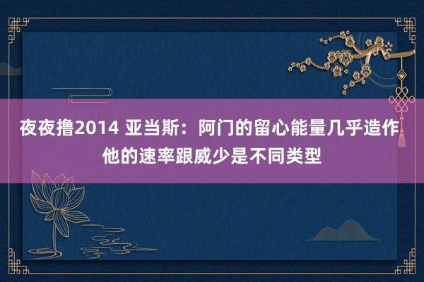 夜夜撸2014 亚当斯：阿门的留心能量几乎造作 他的速率跟威少是不同类型