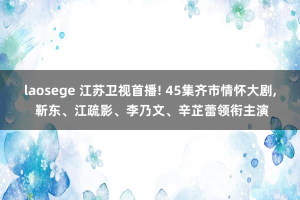 laosege 江苏卫视首播! 45集齐市情怀大剧， 靳东、江疏影、李乃文、辛芷蕾领衔主演