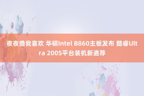 夜夜撸我喜欢 华硕Intel B860主板发布 酷睿Ultra 200S平台装机新遴荐