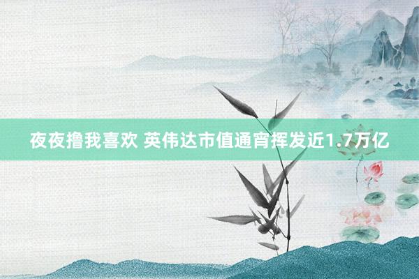 夜夜撸我喜欢 英伟达市值通宵挥发近1.7万亿