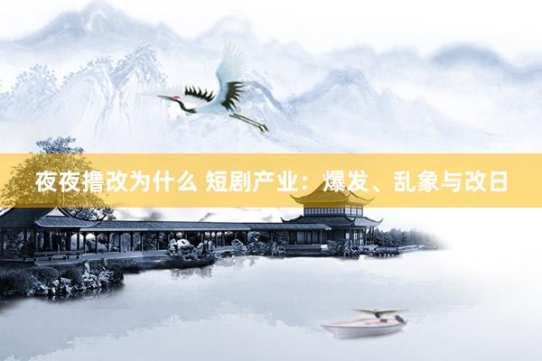 夜夜撸改为什么 短剧产业：爆发、乱象与改日