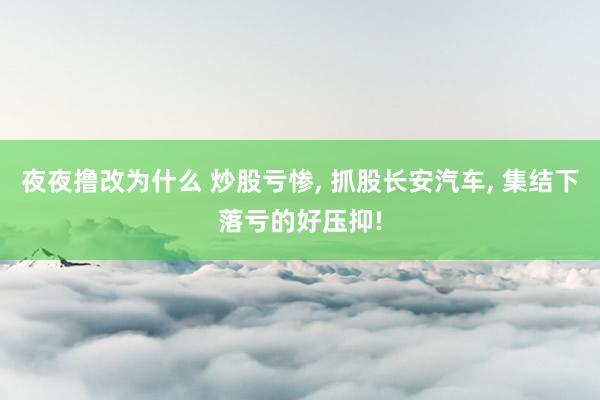 夜夜撸改为什么 炒股亏惨， 抓股长安汽车， 集结下落亏的好压抑!