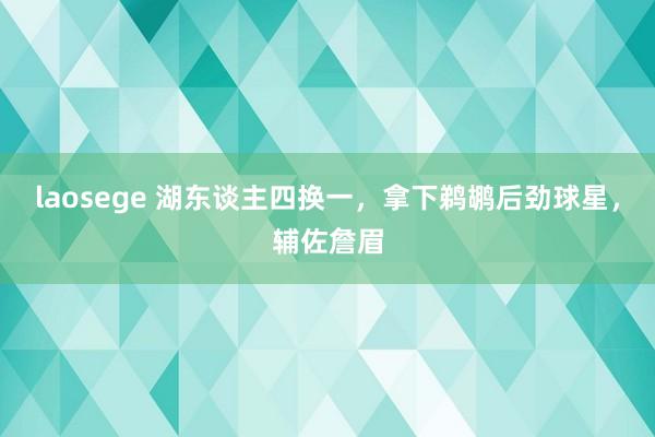laosege 湖东谈主四换一，拿下鹈鹕后劲球星，辅佐詹眉