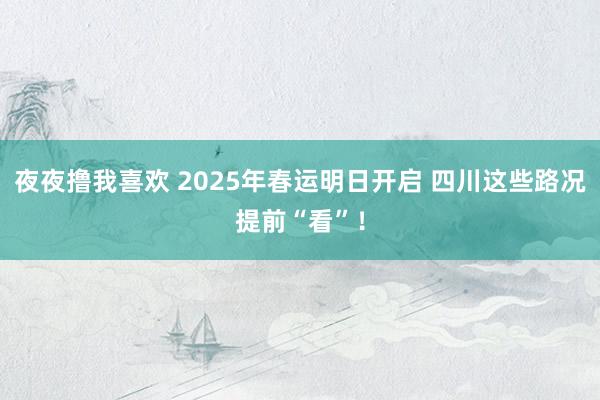 夜夜撸我喜欢 2025年春运明日开启 四川这些路况提前“看”！