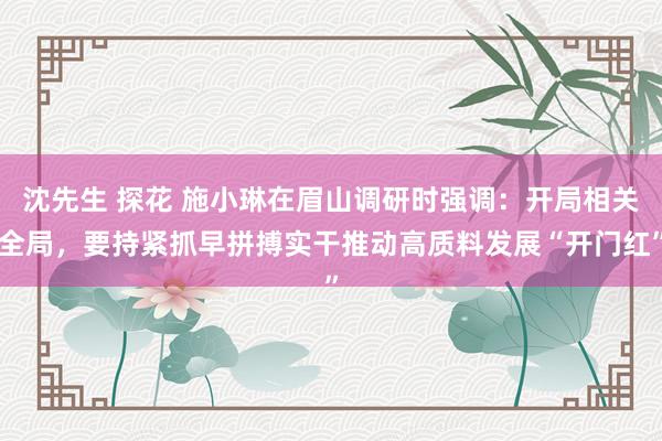 沈先生 探花 施小琳在眉山调研时强调：开局相关全局，要持紧抓早拼搏实干推动高质料发展“开门红”
