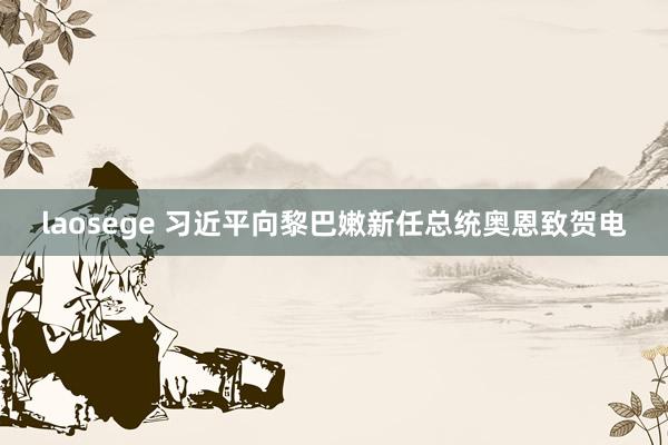 laosege 习近平向黎巴嫩新任总统奥恩致贺电
