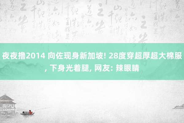 夜夜撸2014 向佐现身新加坡! 28度穿超厚超大棉服， 下身光着腿， 网友: 辣眼睛