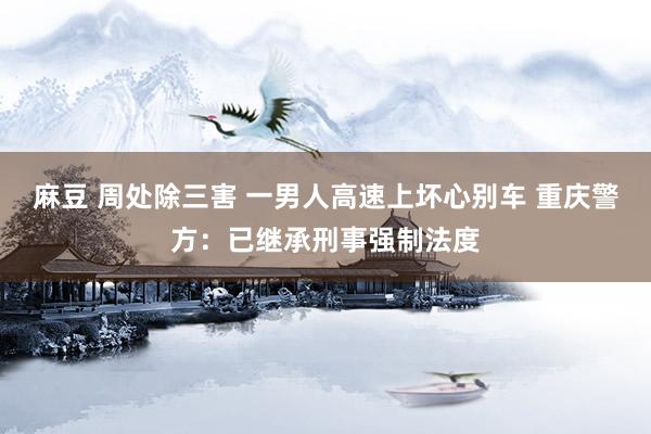 麻豆 周处除三害 一男人高速上坏心别车 重庆警方：已继承刑事强制法度
