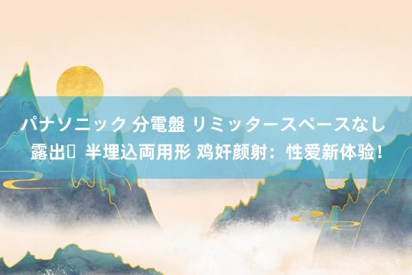 パナソニック 分電盤 リミッタースペースなし 露出・半埋込両用形 鸡奸颜射：性爱新体验！
