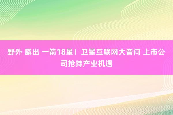 野外 露出 一箭18星！卫星互联网大音问 上市公司抢持产业机遇