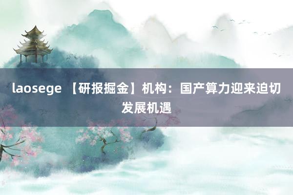 laosege 【研报掘金】机构：国产算力迎来迫切发展机遇