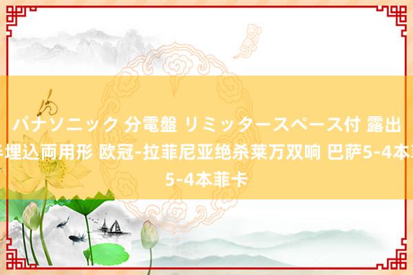 パナソニック 分電盤 リミッタースペース付 露出・半埋込両用形 欧冠-拉菲尼亚绝杀莱万双响 巴萨5-4本菲卡
