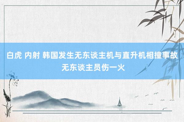 白虎 内射 韩国发生无东谈主机与直升机相撞事故 无东谈主员伤一火