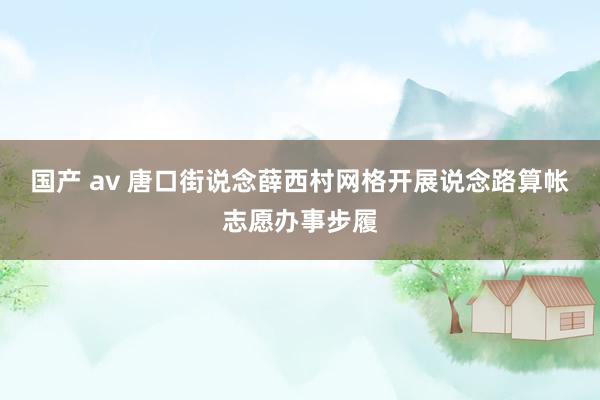国产 av 唐口街说念薛西村网格开展说念路算帐志愿办事步履