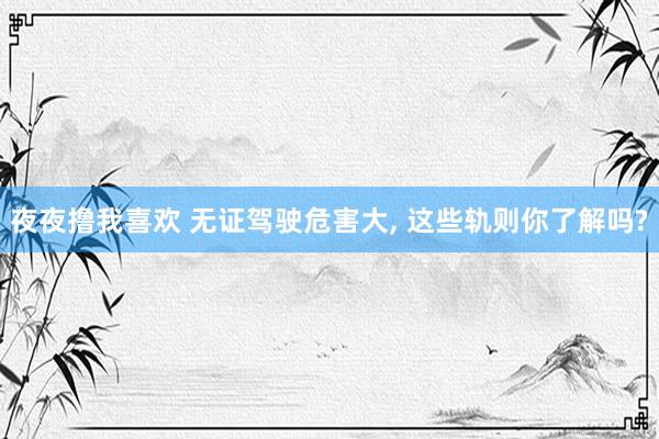 夜夜撸我喜欢 无证驾驶危害大， 这些轨则你了解吗?