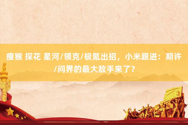 瘦猴 探花 星河/领克/极氪出招，小米跟进：期许/问界的最大敌手来了？