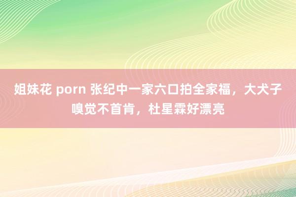 姐妹花 porn 张纪中一家六口拍全家福，大犬子嗅觉不首肯，杜星霖好漂亮