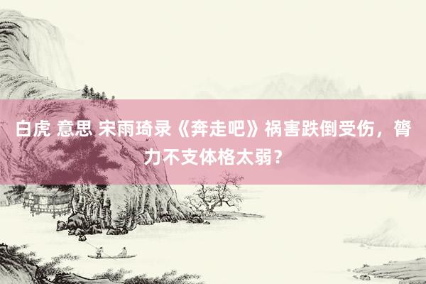 白虎 意思 宋雨琦录《奔走吧》祸害跌倒受伤，膂力不支体格太弱？
