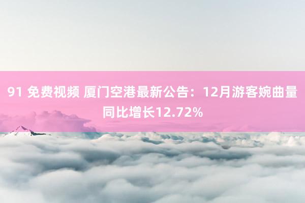 91 免费视频 厦门空港最新公告：12月游客婉曲量同比增长12.72%