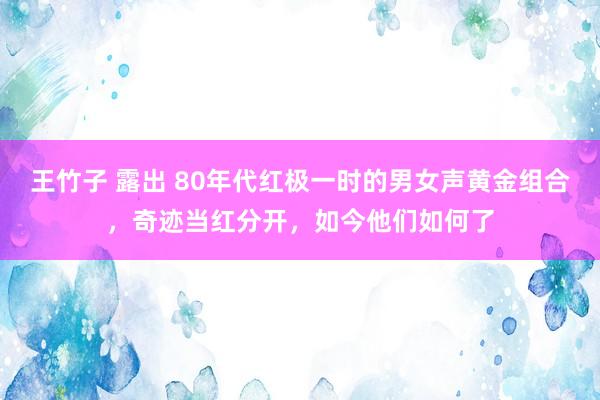 王竹子 露出 80年代红极一时的男女声黄金组合，奇迹当红分开，如今他们如何了